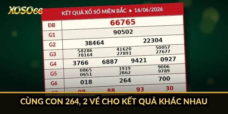 Bao lô 3 số: vì sao miền Bắc chỉ còn 23 lô, miền Nam 17 lô? 4 Cùng con 264, 2 vé cho kết quả khác nhau thế nào?